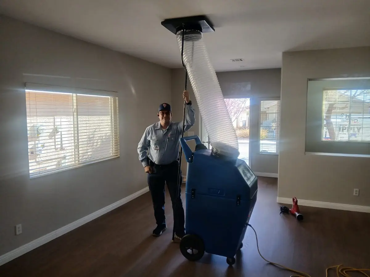 Professional Dryer Vent Cleaning work inside a Palos Heights home